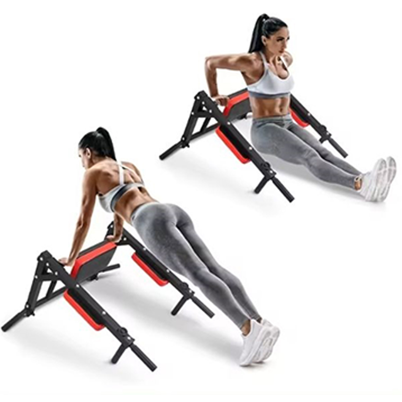 Heavy Duty Wall Mounted Parall - Home Bar And Gym 评论和价格